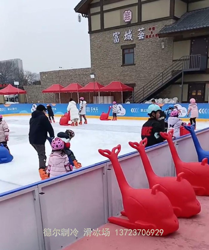 南京溧水冰場,德爾制冷建設